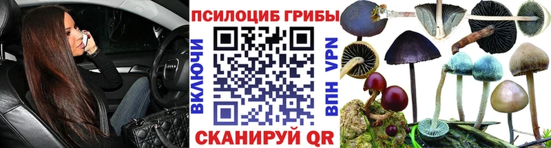 Купить  Моршанск  Псилоцибиновые грибы GOLDEN TEACHER 